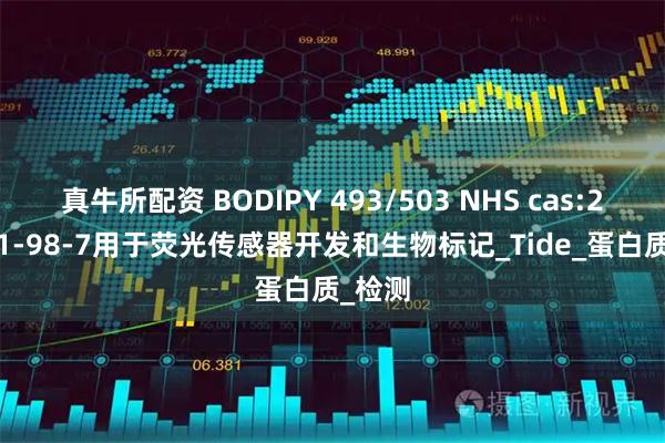 真牛所配资 BODIPY 493/503 NHS cas:216961-98-7用于荧光传感器开发和生物标记_Tide_蛋白质_检测